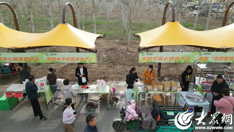 匠心傳承，共富同行 廣饒縣李鵲鎮(zhèn)“好品李鵲共富市集”上的麥秸畫(huà)藝術(shù)